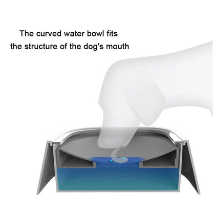 Pet Water Floating Bowl